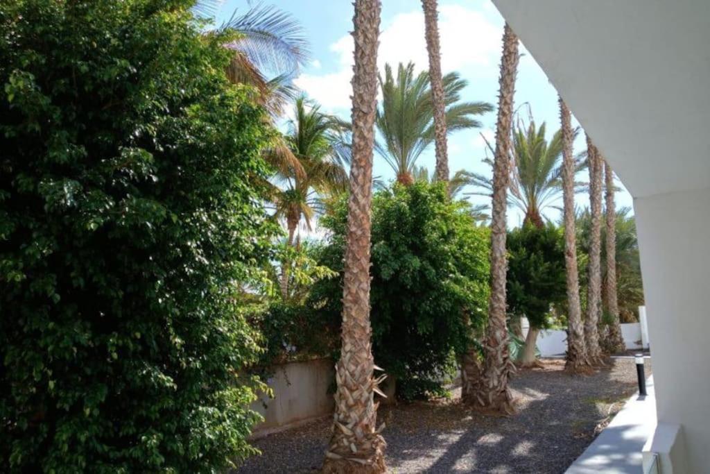 Appartamento Las Palmas Tarajalejo Luaran gambar