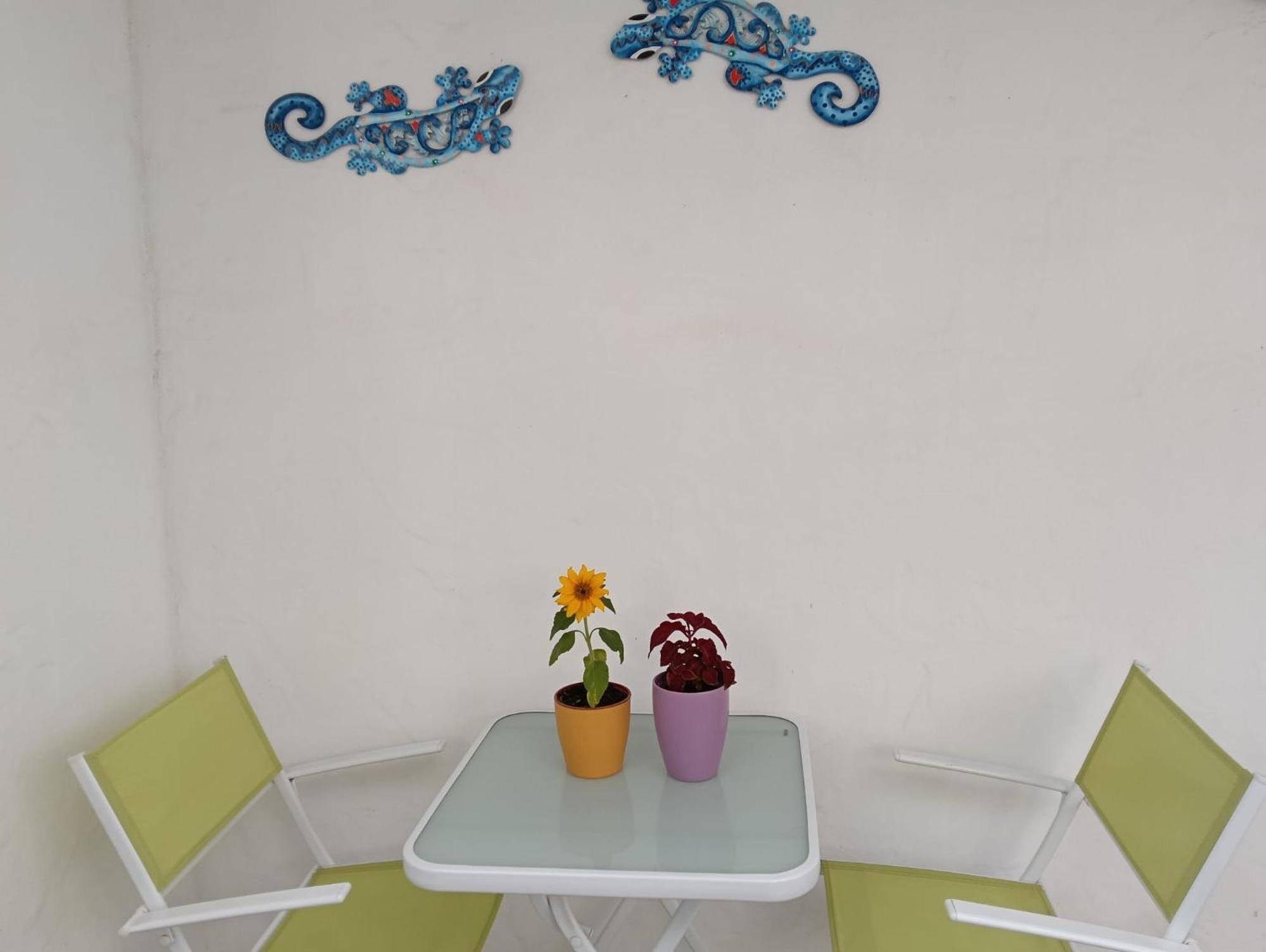 Appartamento Las Palmas Tarajalejo Luaran gambar